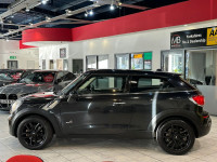 MINI PACEMAN