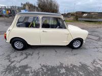 AUSTIN MINI