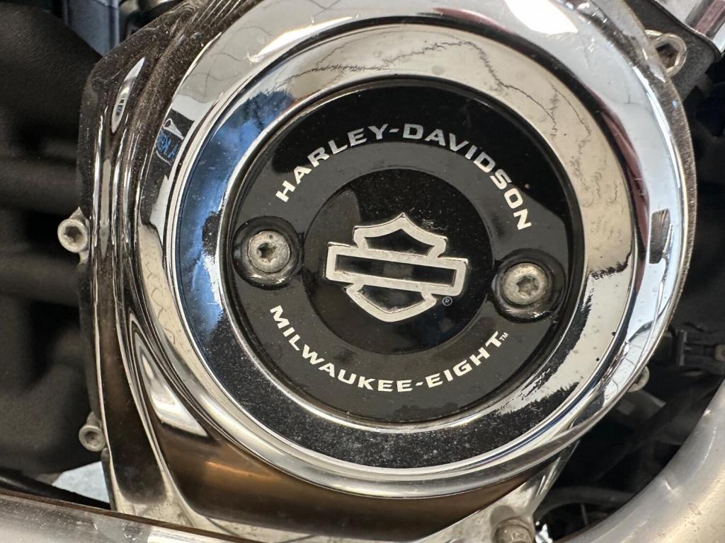 HARLEY-DAVIDSON Softail