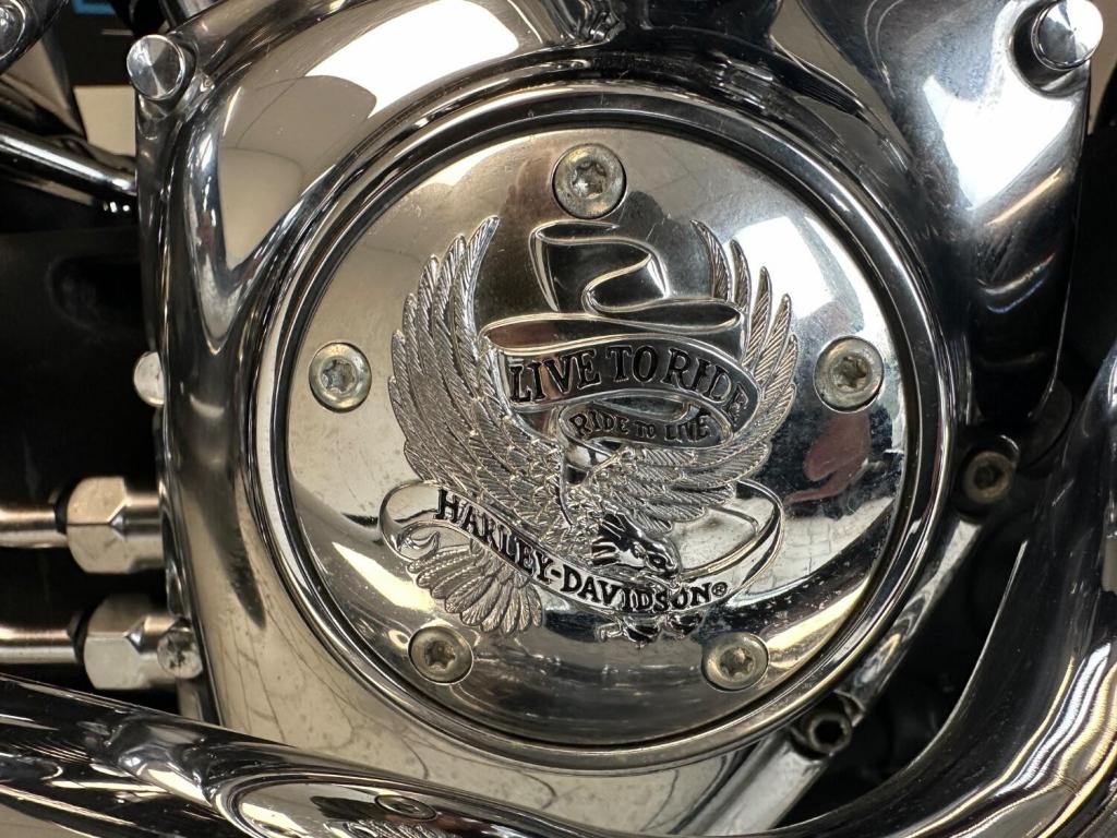 HARLEY-DAVIDSON Softail