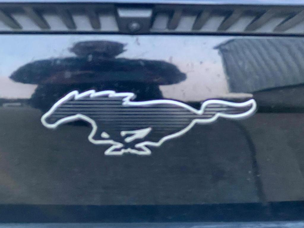 FORD MUSTANG