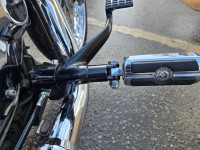 HARLEY-DAVIDSON Sportster