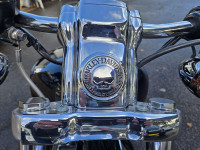 HARLEY-DAVIDSON Sportster