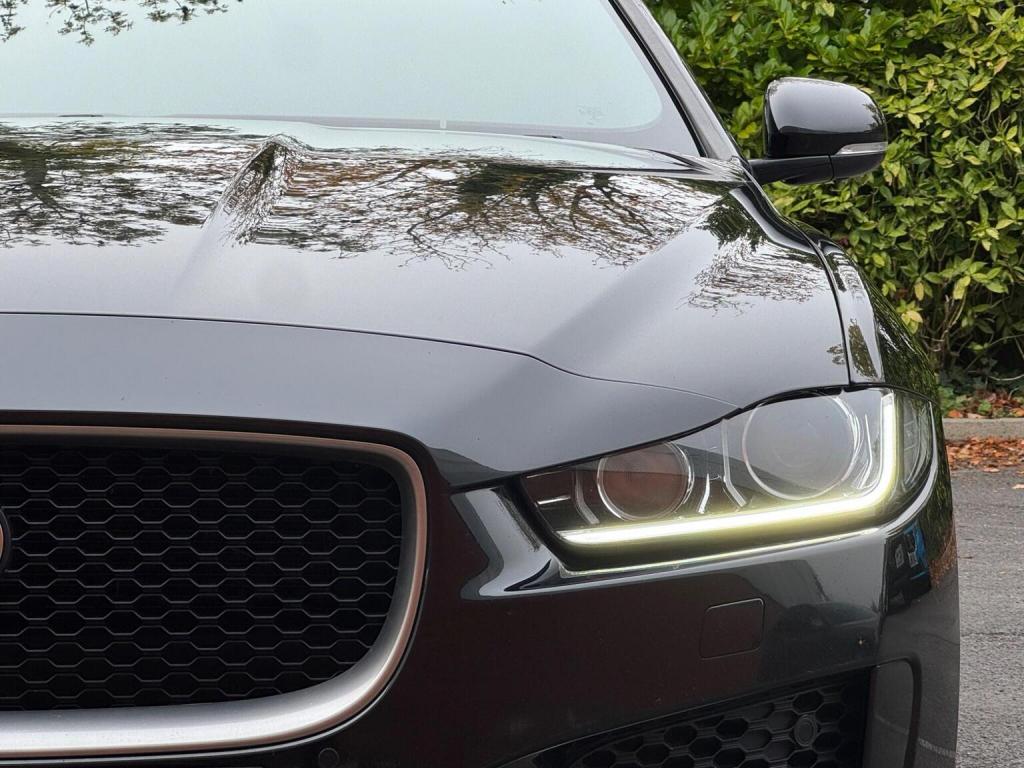 JAGUAR XE
