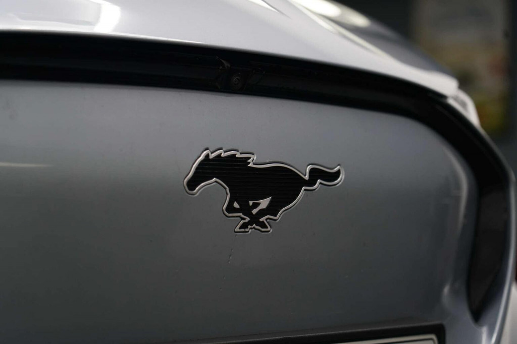 FORD MUSTANG MACH-E