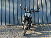 TRIUMPH Street Scrambler