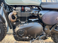 TRIUMPH Street Scrambler