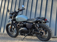 TRIUMPH Street Scrambler