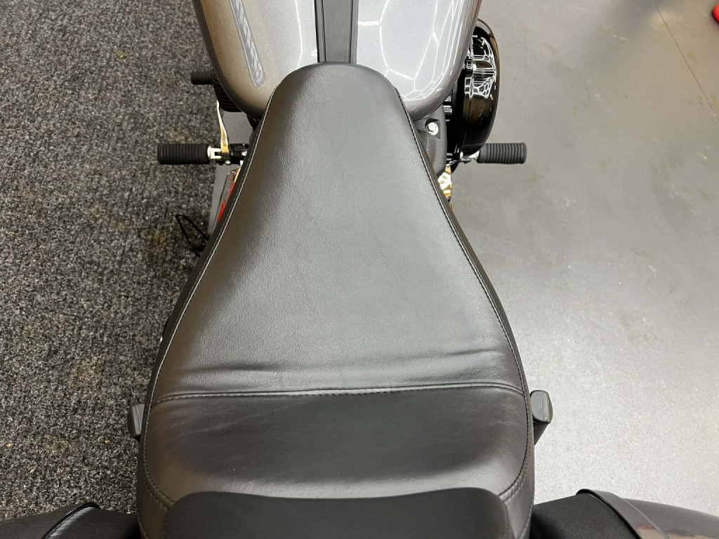 HARLEY-DAVIDSON Softail