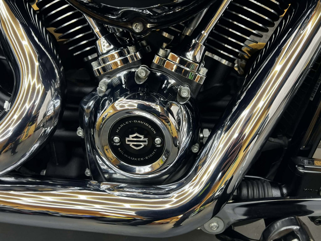 HARLEY-DAVIDSON Softail