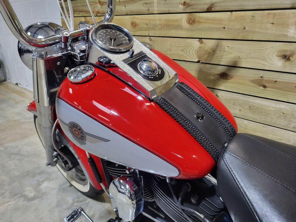 HARLEY-DAVIDSON Softail
