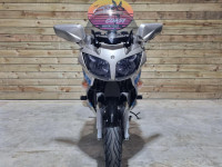 YAMAHA FJR1300