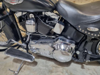 HARLEY-DAVIDSON Softail