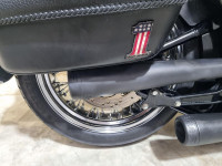 HARLEY-DAVIDSON Softail