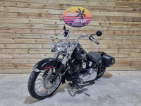 HARLEY-DAVIDSON Softail