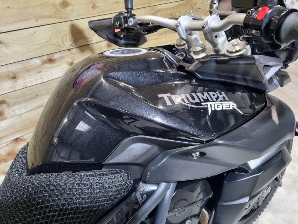 TRIUMPH TIGER 800