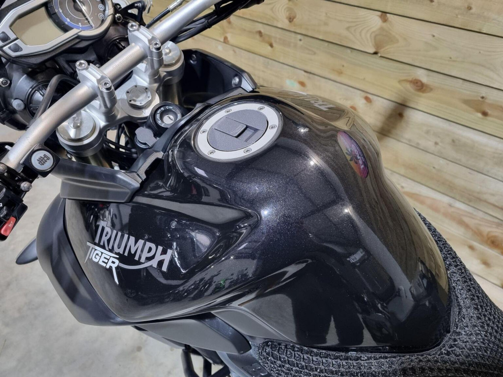 TRIUMPH TIGER 800