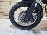 TRIUMPH TIGER 800