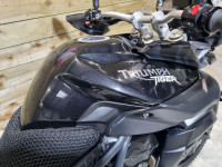 TRIUMPH TIGER 800