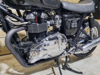 TRIUMPH THRUXTON 900