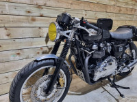 TRIUMPH THRUXTON 900