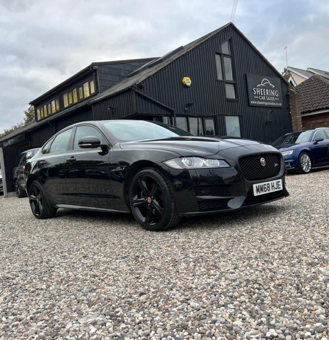 JAGUAR
