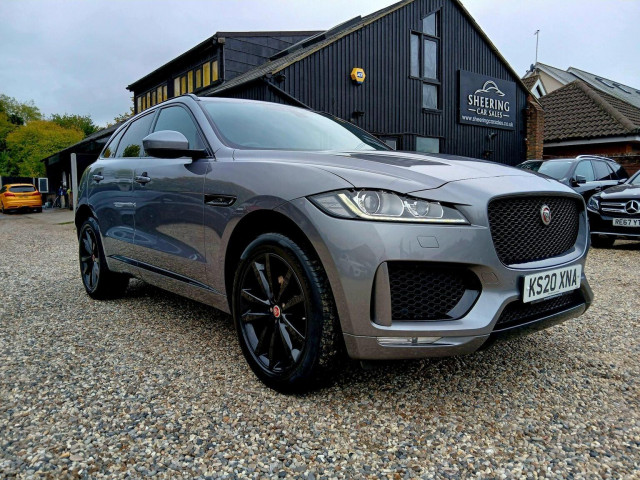 JAGUAR