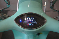 GOLDEN LION EV 2000