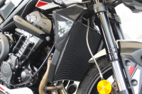 TRIUMPH STREET TRIPLE 765
