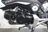 HONDA MSX125
