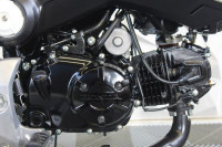 HONDA MSX125