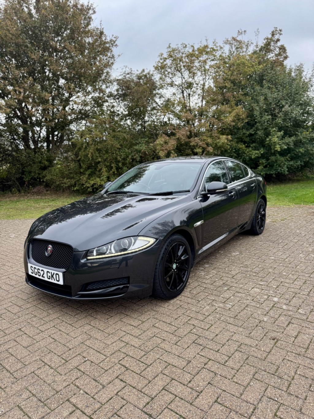 JAGUAR