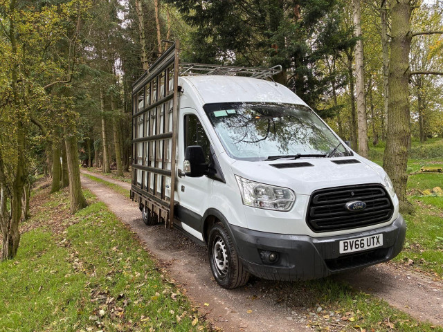 FORD TRANSIT