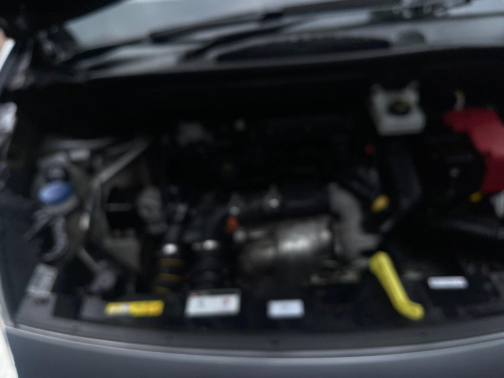 PEUGEOT PARTNER TEPEE